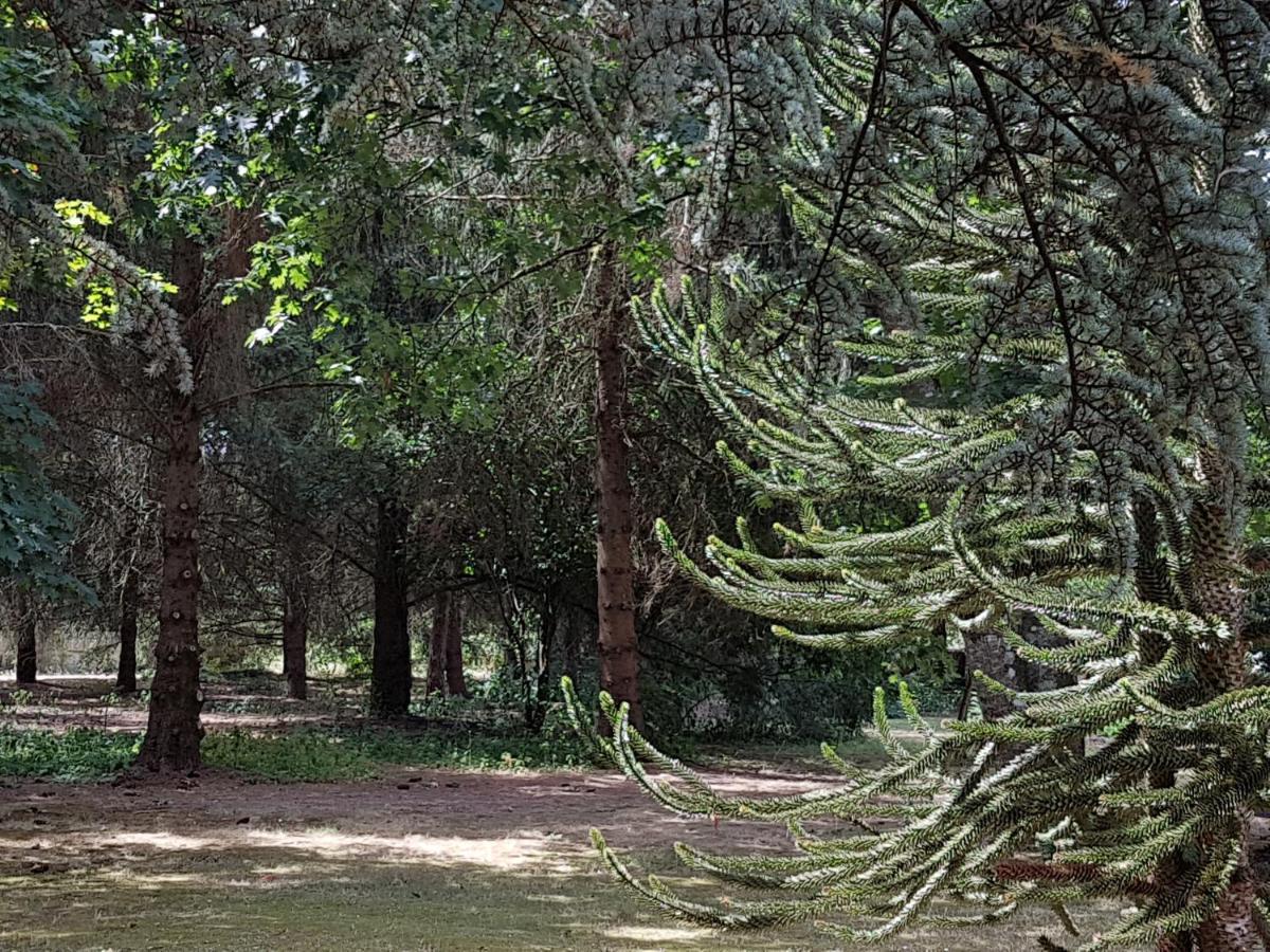 Le Clos Des Ecureuils Vouzon Exteriér fotografie