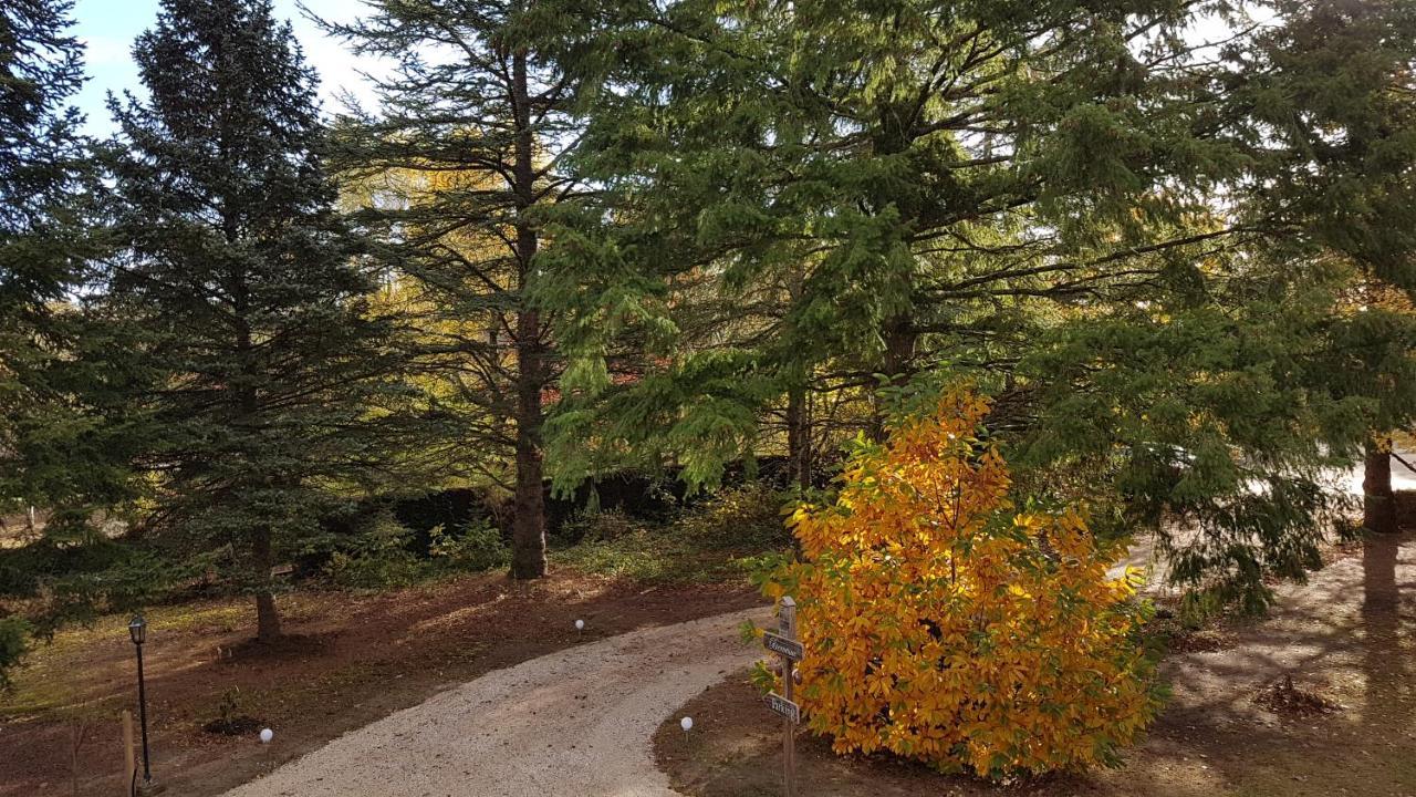 Le Clos Des Ecureuils Vouzon Exteriér fotografie