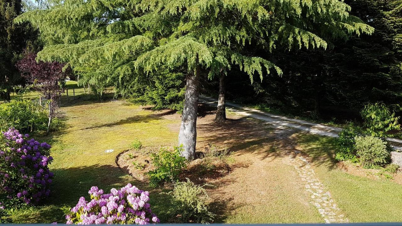 Le Clos Des Ecureuils Vouzon Exteriér fotografie