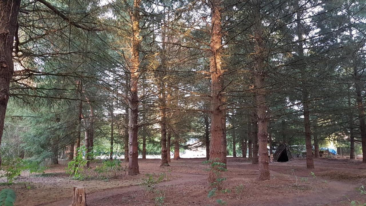 Le Clos Des Ecureuils Vouzon Exteriér fotografie