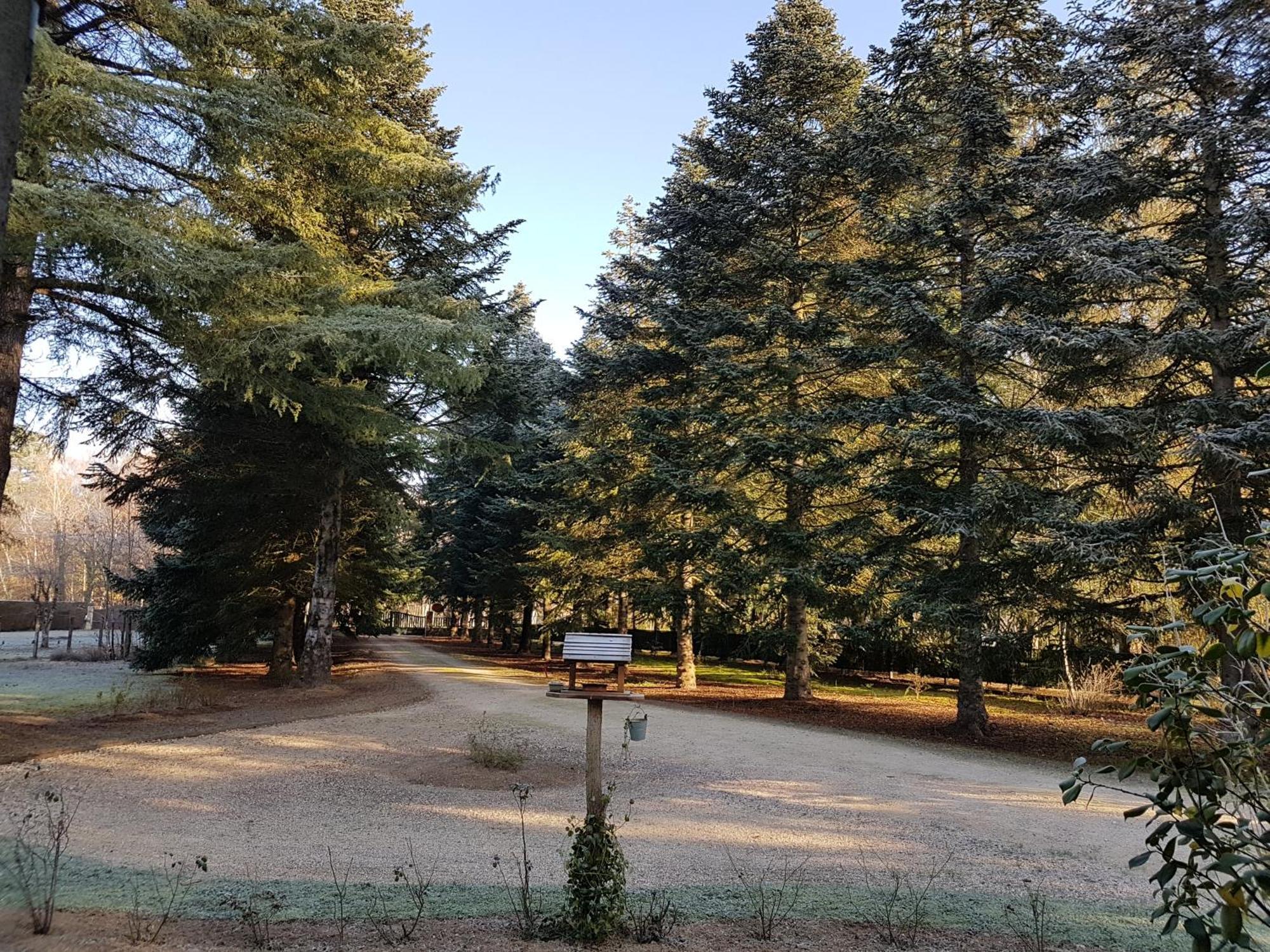 Le Clos Des Ecureuils Vouzon Exteriér fotografie