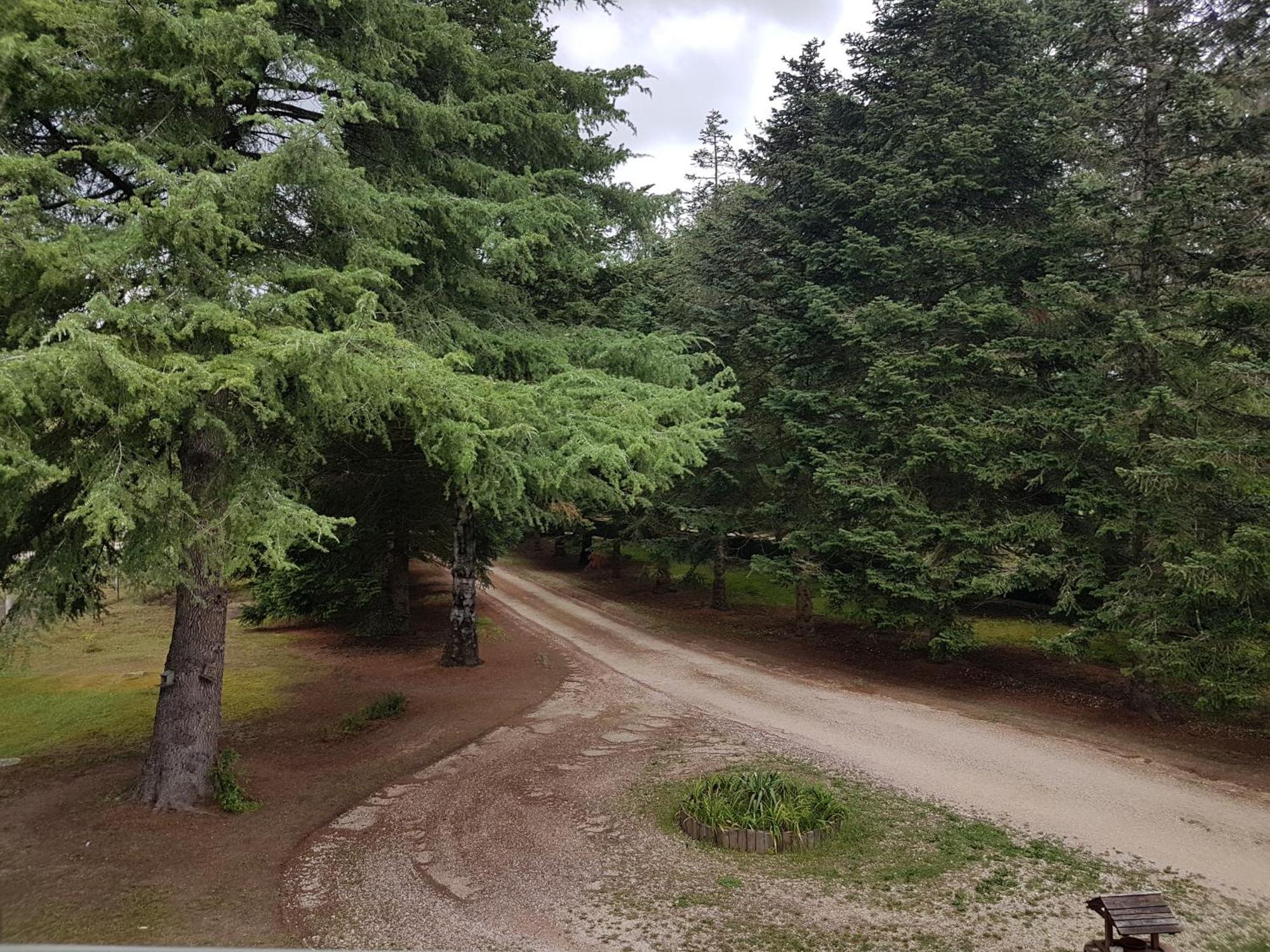 Le Clos Des Ecureuils Vouzon Exteriér fotografie